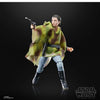 Hasbro The Black Series 40th Anniversary Star Wars: Return of the Jedi - Princess Leia (Endor) Figure
