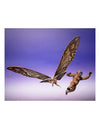 Tamashii Nations Godzilla x Kong: The New Empire Shimo & Mothra SH MonsterArts Figure