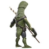 Figura Amani Guard The Mandalorian and Grogu Star Wars 9,5cm