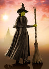 Wicked Figura S.H. Figuarts Elphaba 14 cm