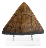 Jurassic Park Estatua Triceratops Spike Prop (Reproduction) 19 cm   