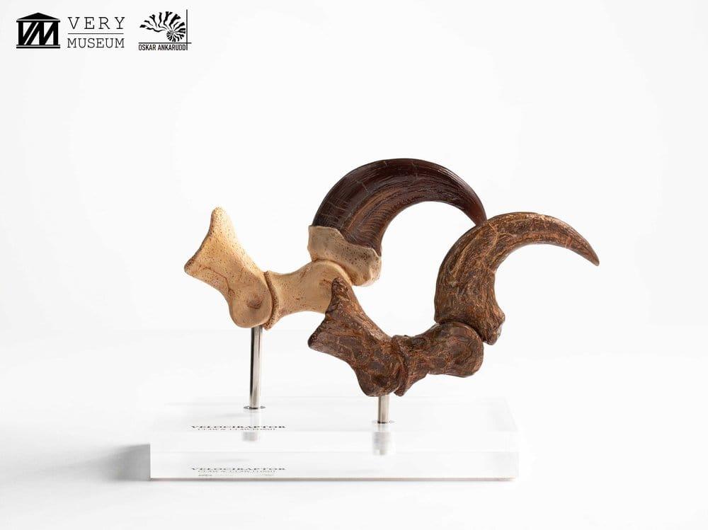 Jurassic Park ECC Elite Creature Line Estatua Velociraptor Foot Claw and Fossil Claw Set 20 cm