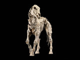 Mythic Legions: Reinforcement 3 Figura Skeleton Steed Legion Builder