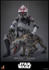 Star Wars: The Clone Wars Figura 1/6 Sergeant Hound 30 cm