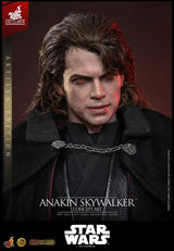 Star Wars Episodio III: La Venganza de los Sith Movie Masterpiece Figura 1/6 Anakin Skywalker (Concept Art Version) (Artisan Edition) Hot Toys Exclusive 31 cm