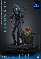 Alien Movie Masterpiece Figura 1/6 Alien Warrior (Deluxe Version) 39 cm