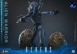 Alien Movie Masterpiece Figura 1/6 Alien Warrior (Deluxe Version) 39 cm