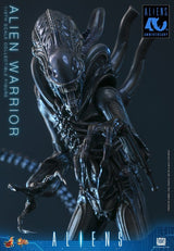 Alien Movie Masterpiece Figura 1/6 Alien Warrior 39 cm