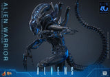 Alien Movie Masterpiece Figura 1/6 Alien Warrior 39 cm
