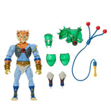 Masters of the Universe x ThunderCats Figura Tygra 14 cm