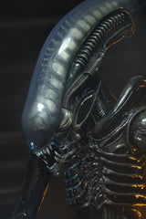 Alien 1/4 Figura Big Chap 56 cm