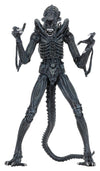 Aliens Ultimate Figura Warrior (1986) Blue 23 cm