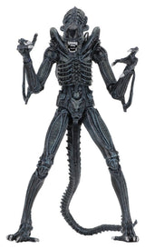 Aliens Ultimate Figura Warrior (1986) Blue 23 cm