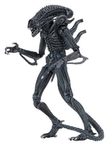 Aliens Ultimate Figura Warrior (1986) Blue 23 cm