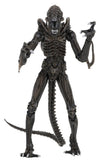 Aliens Ultimate Figura Warrior (1986) Castanho 23 cm