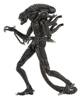 Aliens Ultimate Figura Warrior (1986) Brown 23 cm