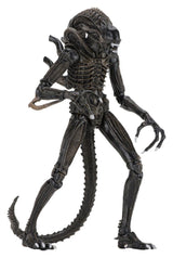 Aliens Ultimate Figura Warrior (1986) Brown 23 cm