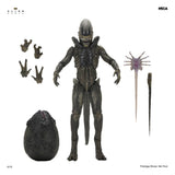 Alien: Earth Ultimate Figura Xenomorph 18 cm