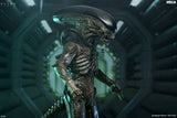 Alien: Earth Ultimate Figura Xenomorph 18 cm
