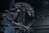 Aliens Ultimate Figura Warrior (1986) Xenomorph Black (40th Anniversary) 23 cm