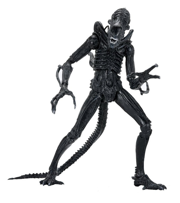 Aliens Ultimate-Figur Warrior (1986) Xenomorph Schwarz (40. Jubiläum) 23 cm
