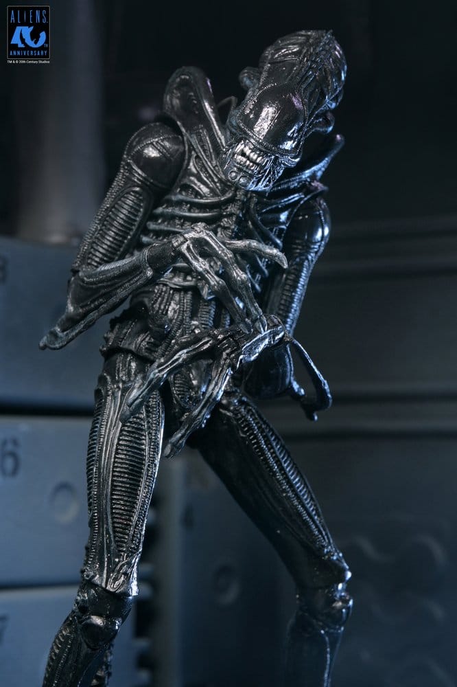 Aliens Ultimate Figura Warrior (1986) Xenomorph Black (40th Anniversary) 23 cm