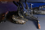 Alien: Romulus Figura Deluxe Suspended Lab Xenomorph XX121 18 cm