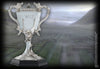 Harry Potter - Copa del Torneo de los 3 Magos