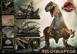 Jurassic Park II Estatua Legacy Museum Collection 1/6 Velociraptor 41 cm 