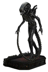 Alien (Film) Museum Masterline XL Statue 1/3 Big Chap Xenomorph Close Up Shot Ver. 100 cm