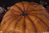 Halloween Statuette Jack-O-Lantern 31 cm