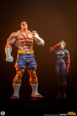 Street Fighter Street Jam Estatuas 1/10 Sagat & Juli 24 cm 