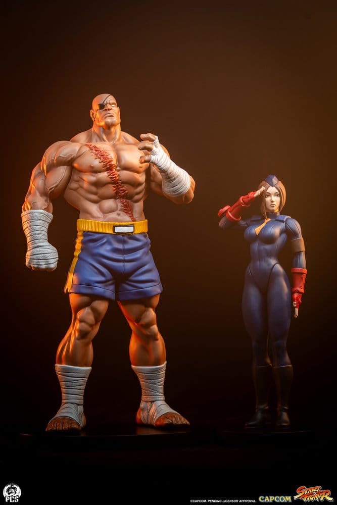 Street Fighter Street Jam Estatuas 1/10 Sagat & Juli 24 cm 