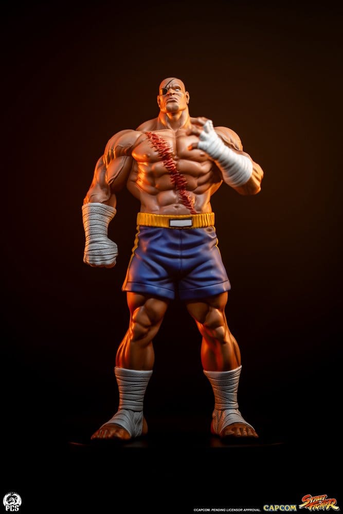Street Fighter Street Jam Estatuas 1/10 Sagat & Juli 24 cm 