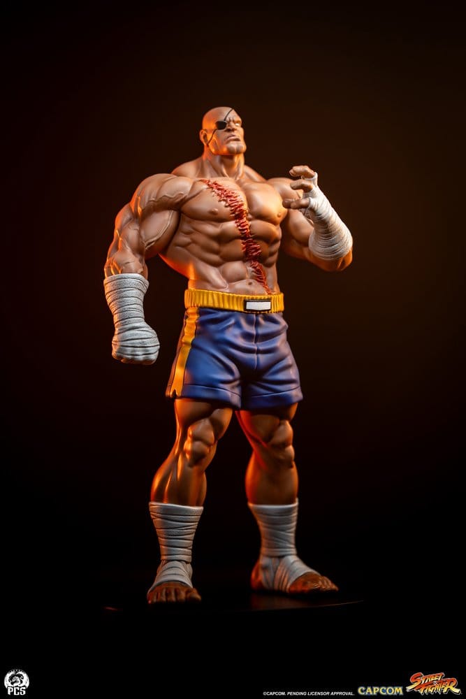 Street Fighter Street Jam Estatuas 1/10 Sagat & Juli 24 cm 