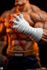 Street Fighter Street Jam Estatuas 1/10 Sagat & Juli 24 cm 