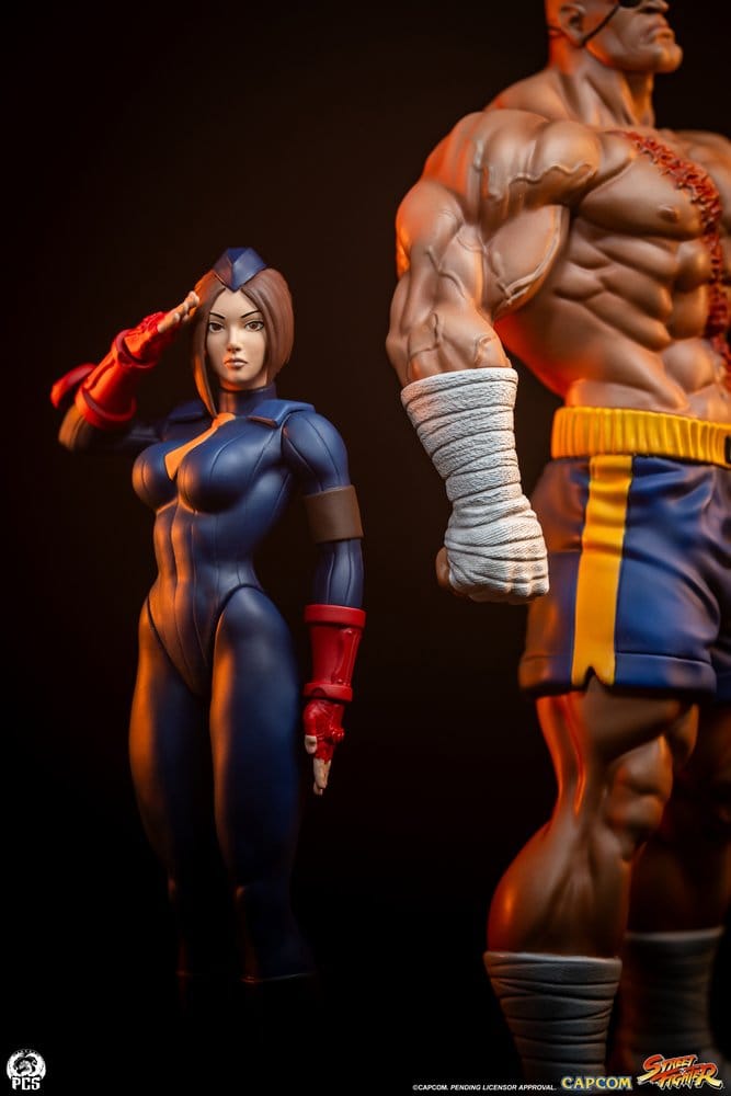 Street Fighter Street Jam Estatuas 1/10 Sagat & Juli 24 cm 