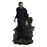 Frankenstein Estatua Premium Format Mixed Media Frankenstein (Fabric Costume) 57 cm 