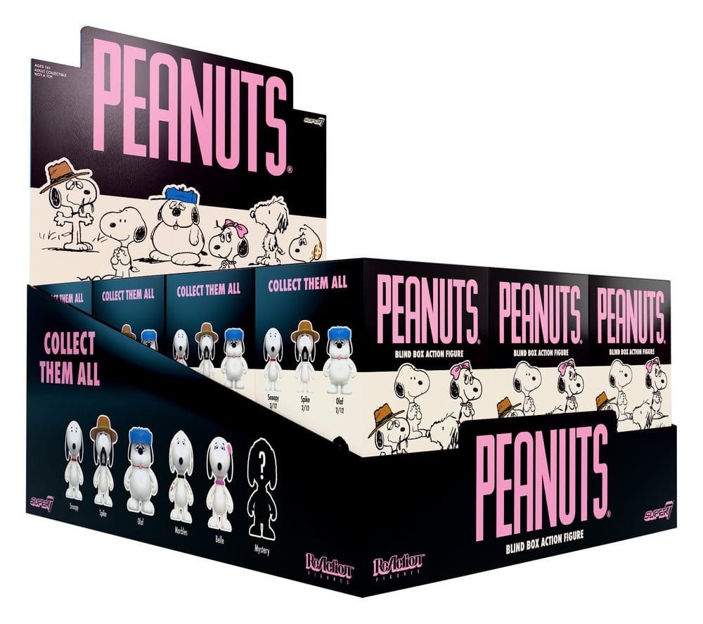 Peanuts ReAction Figuras Snoopy's Siblings Wave 10 Blind Box 10 cm Expositor (12)