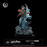 Harry Potter Figura 1/6 IKIGAI 30 cm