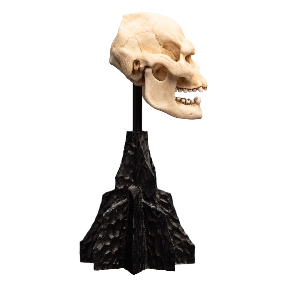 El Señor de los Anillos Estatua Skull of Lurtz 14 cm